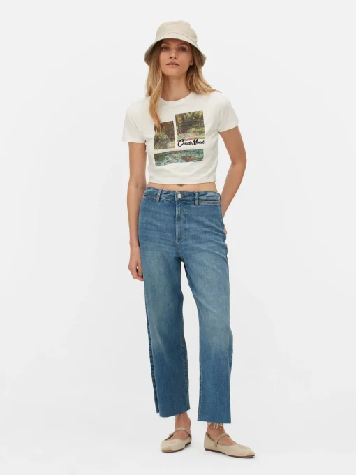 Claude Monet Graphic Cropped T-Shirt